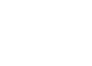 Food Mahal Restaurant